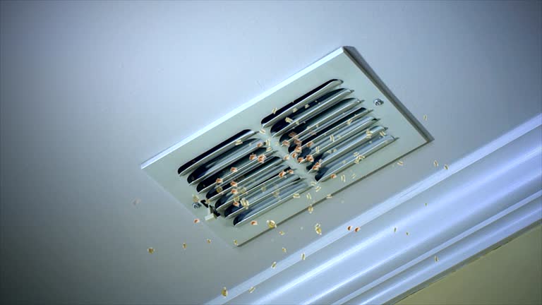 Best Affordable HVAC Duct Cleaning  in Arcanum, OH